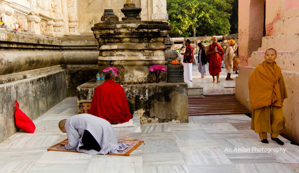 9a2c7-life2bat2bbodhgaya