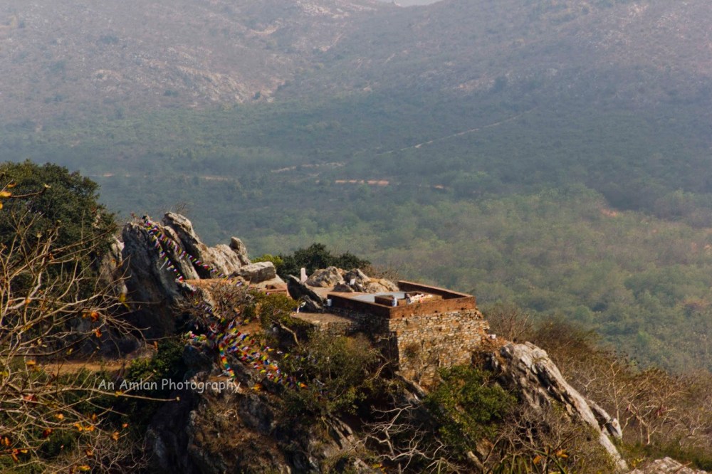 c7979-vultures25272bpeak