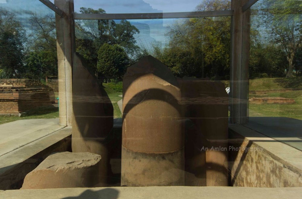 08410-ashokan2bpillar