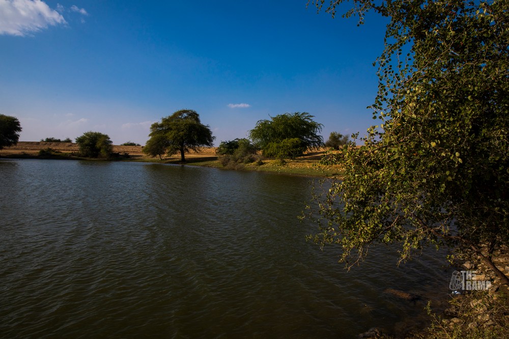 The Oasis in Thar dessert